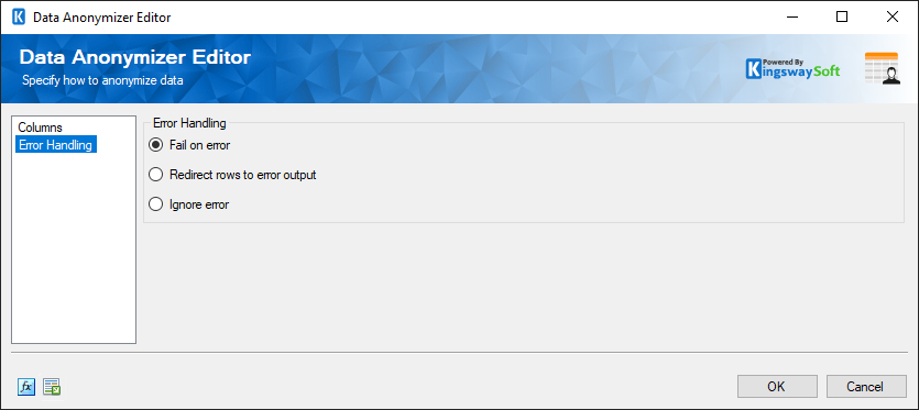 Data Anonymizer Editor - Error Handling